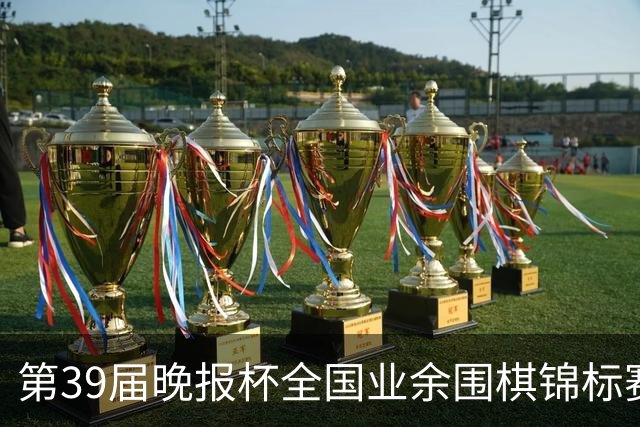 第39届晚报杯全国业余围棋锦标赛职业-业余巅峰对决开赛